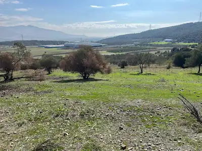 İZMIR ALIAĞA BOZKÖY’DE 22.250 M² YATIRIMLIK TARLA
