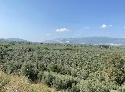 BURSA ORHANGAZİ'DE TEK TAPU GÖL MANZARALI TAKASA UYGUN SATILIK