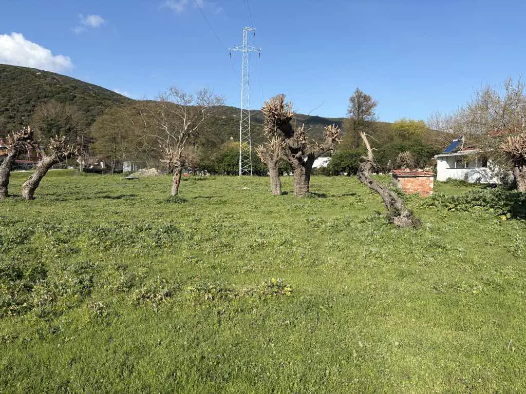 Property image 26