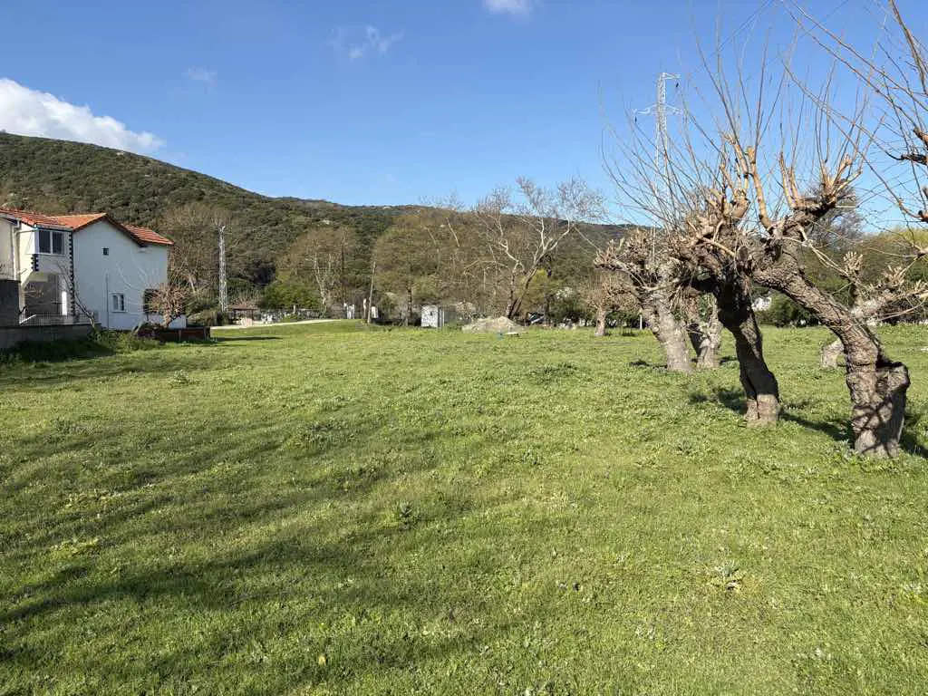 Property image 24
