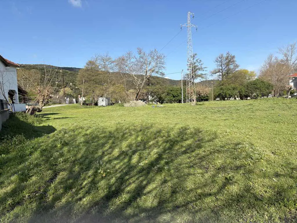 Property image 22