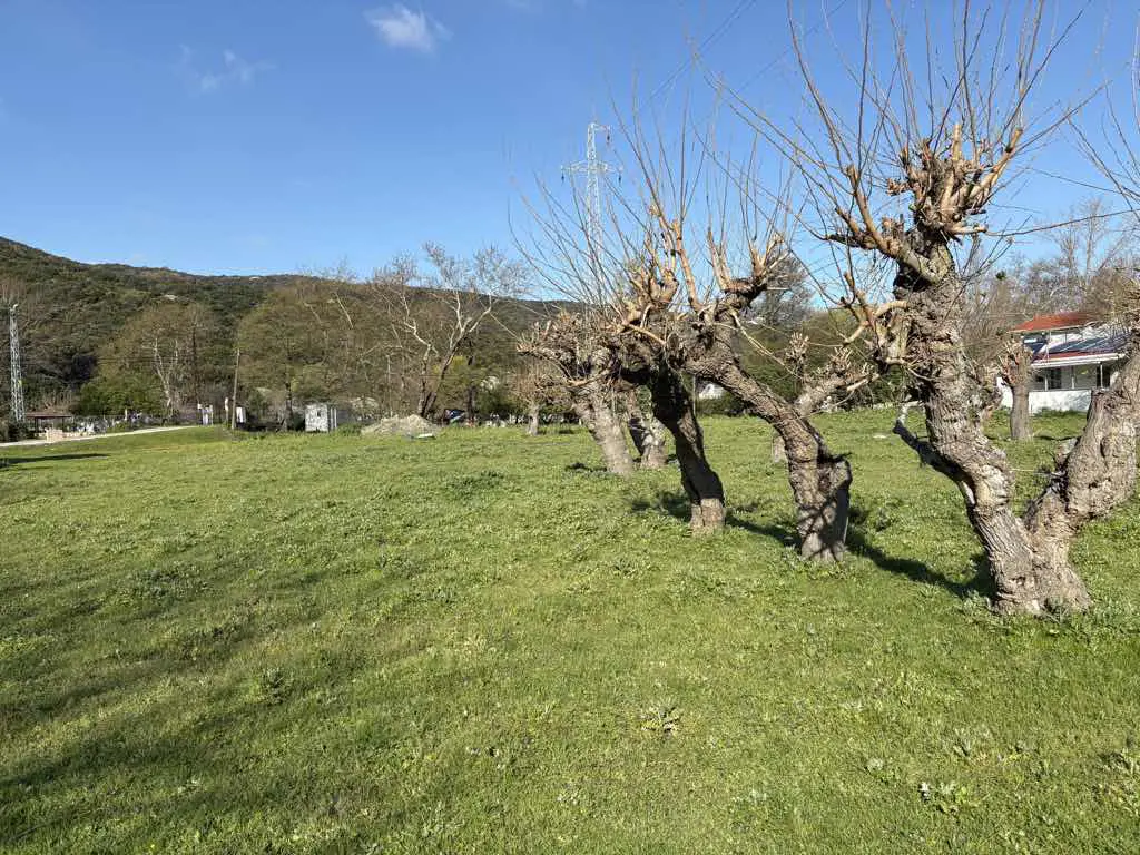 Property image 23