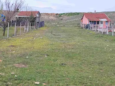 ESKİŞEHİR ODUNPAZARI DOĞANKAYA KÖYÜNDE SATILIK 596 M2 BAHÇE