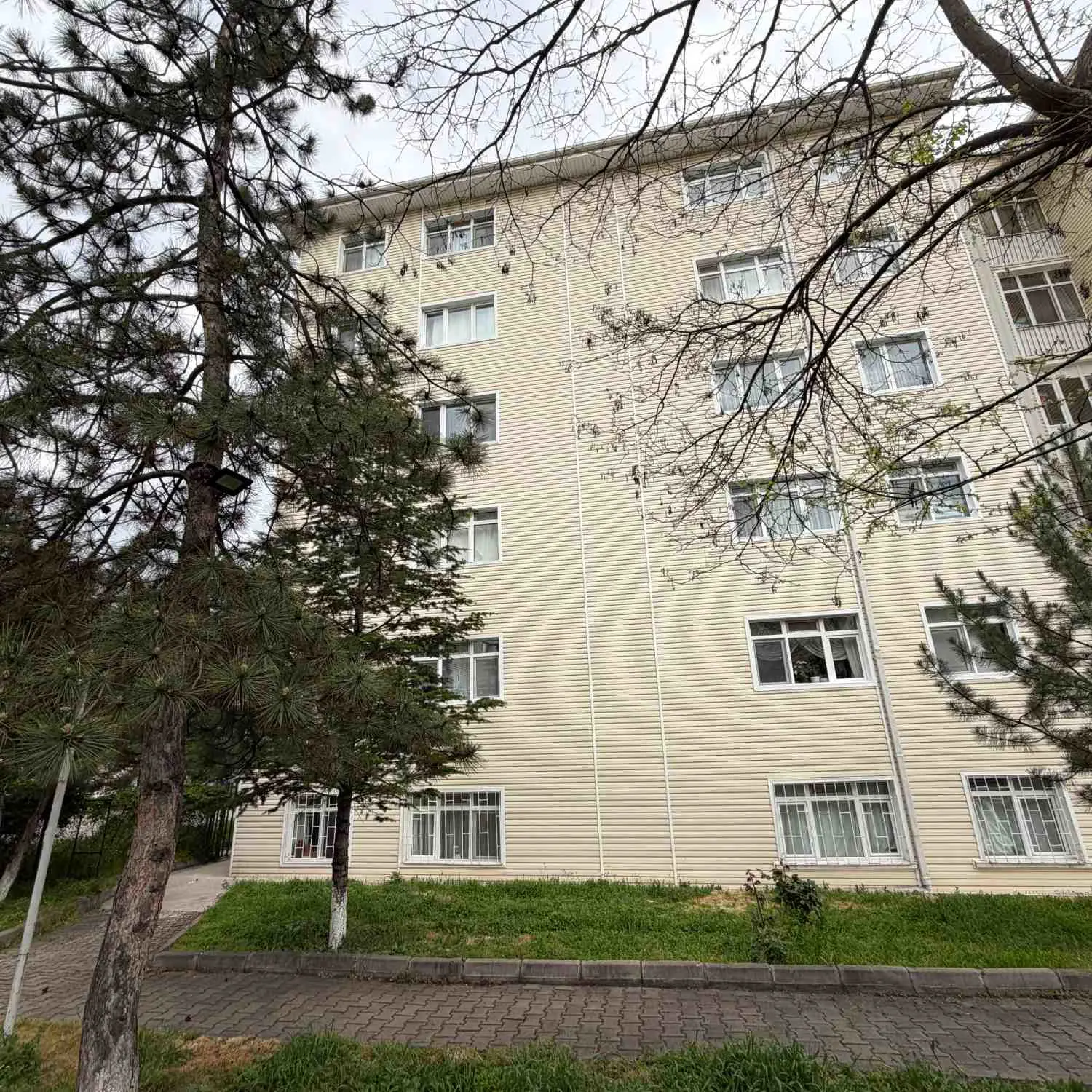 Property image 24