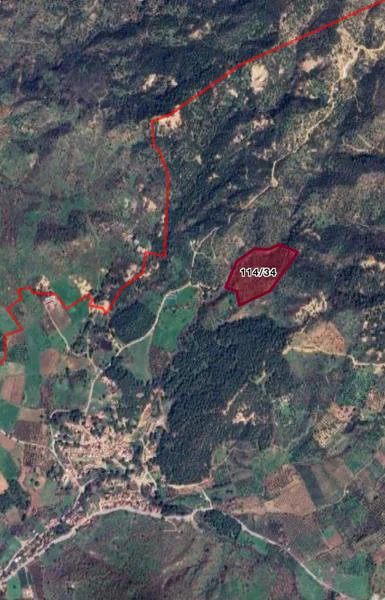 İZMİR DİKİLİ GÖKÇEAĞIL'DA YATIRIMLIK 500 M2 HİSSE