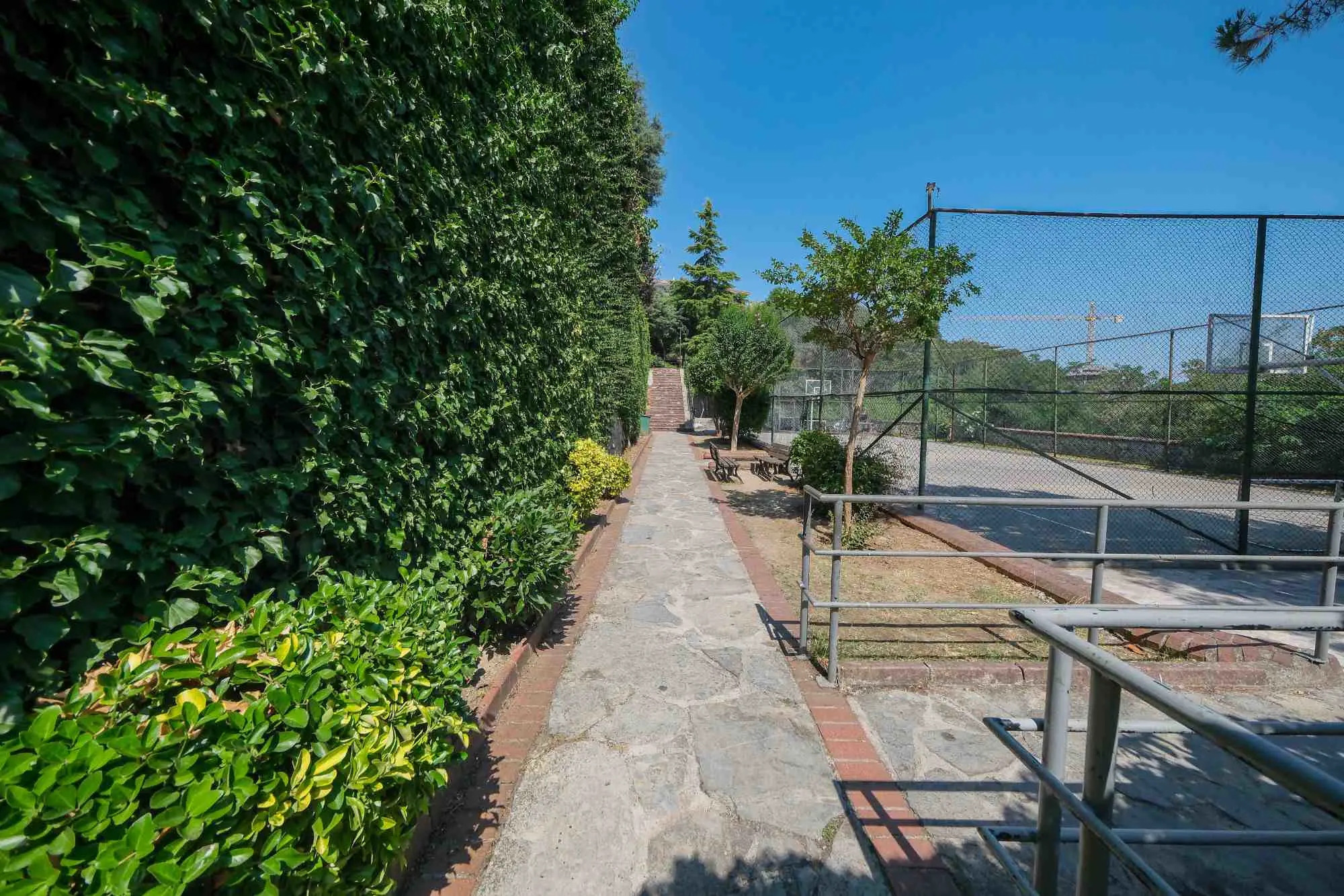 Property image 63