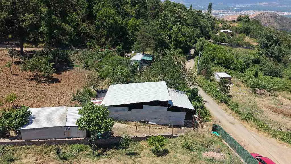 Property image 23