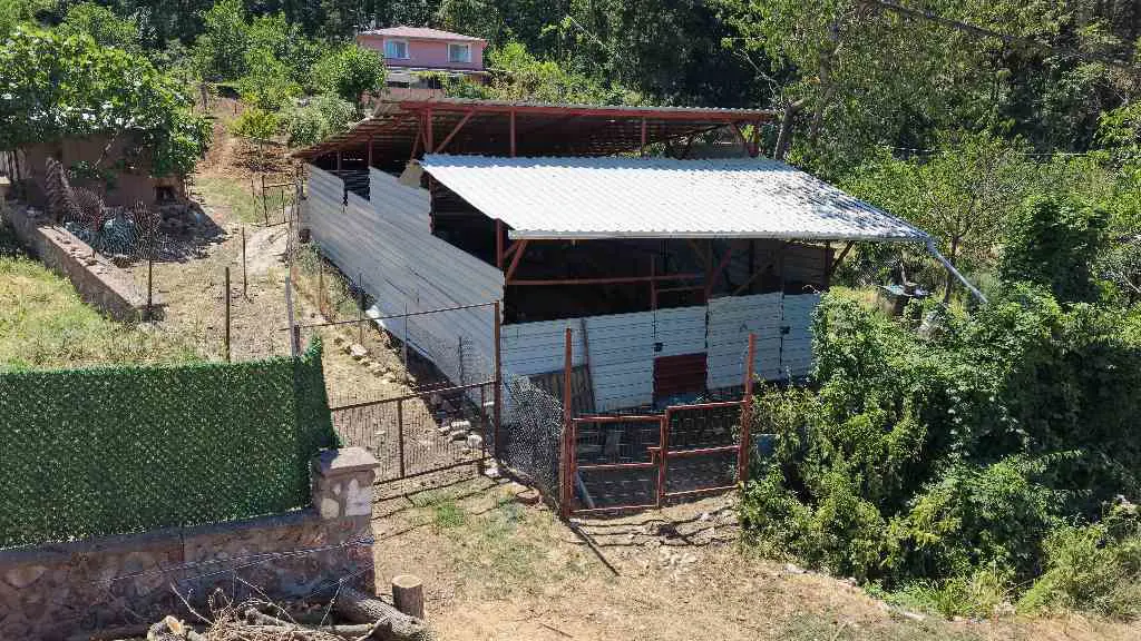 Property image 17
