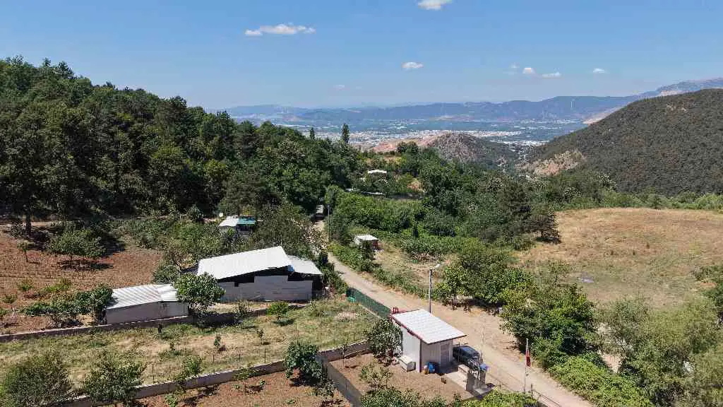 Property image 19