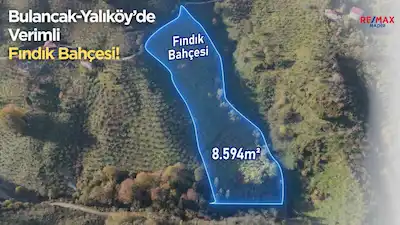 GIRESUN BULANCAK YALIKÖY’DE 8594 M2 DÖNÜM VERIMLI FINDIK BAHÇESI