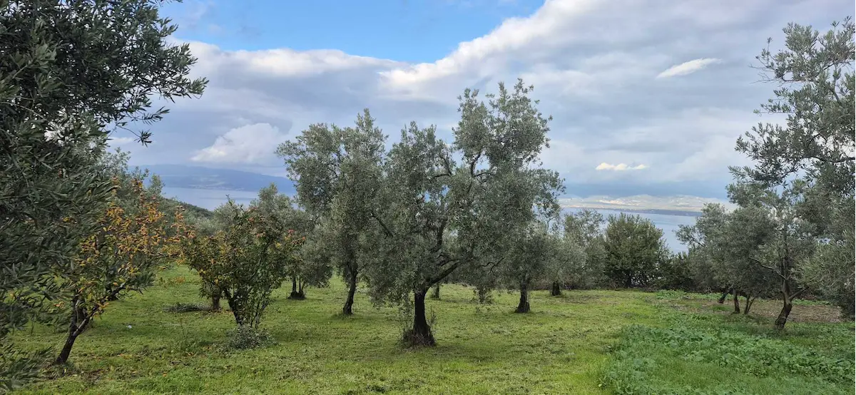 İZNIK AYDINLARDA TAMAMI GÖL MANZARALI 4823 M² YATIRIMLIK TARLA