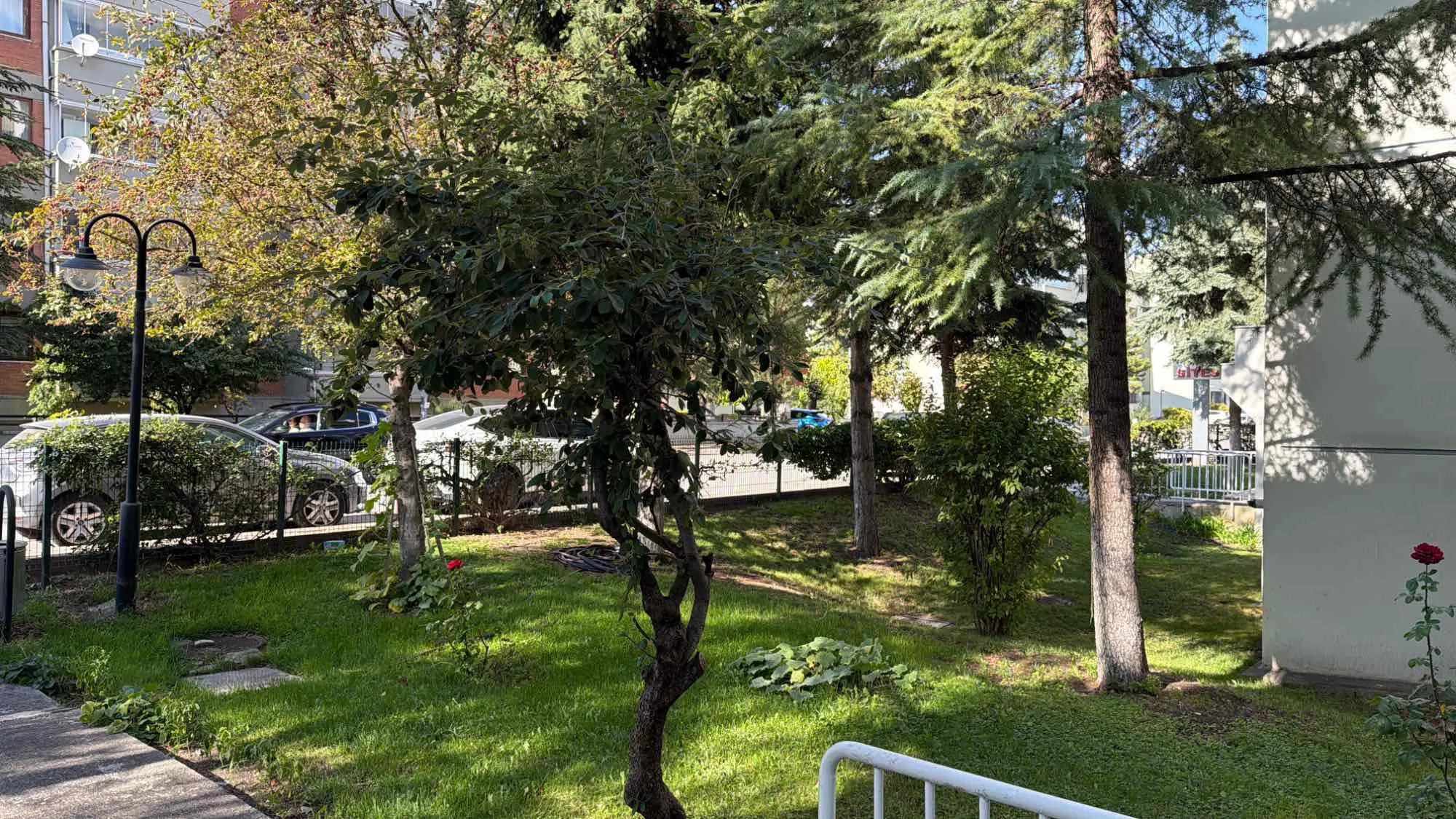 Property image 28