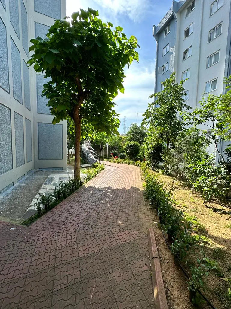 Property image 30