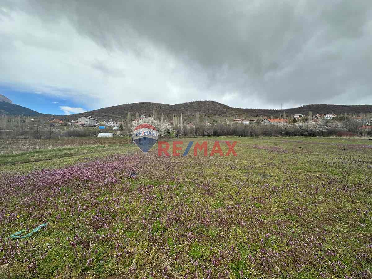 SEYDİŞEHİR TARAŞÇI MAHALLESİNDE SATILIK TARLA