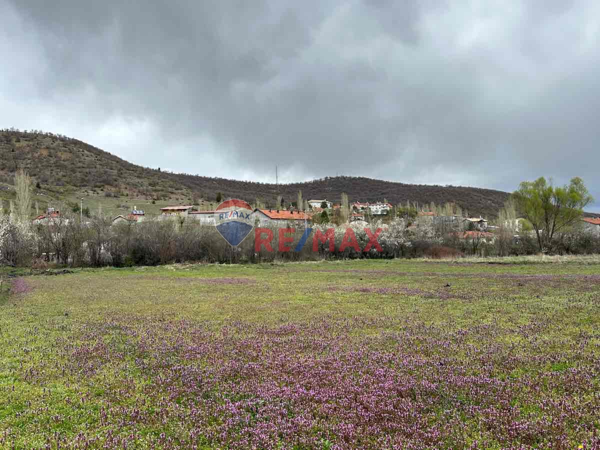 SEYDİŞEHİR TARAŞÇI MAHALLESİNDE SATILIK TARLA