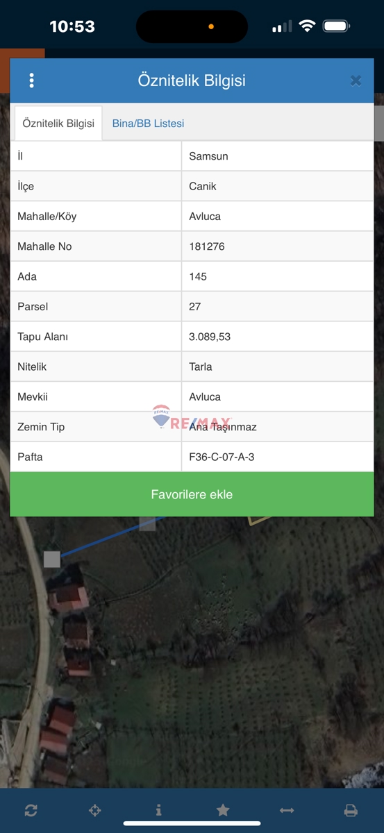 SAMSUN AVLUCA’DA 5589 M² YATIRIMLIK FINDIK BAHÇESİ – ANAYOLA YAKIN!