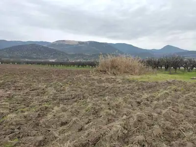 REMAX FREKANSTAN YÜKSEK PRİM POTANSİYELLİ 1077M² ARSA