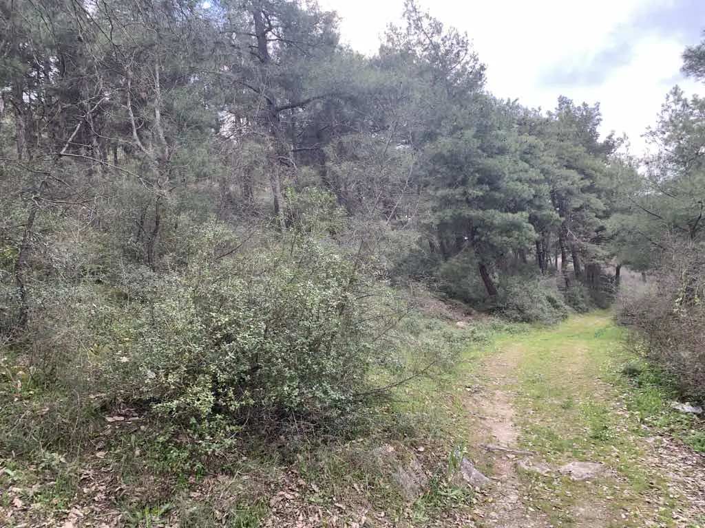 Property image 18
