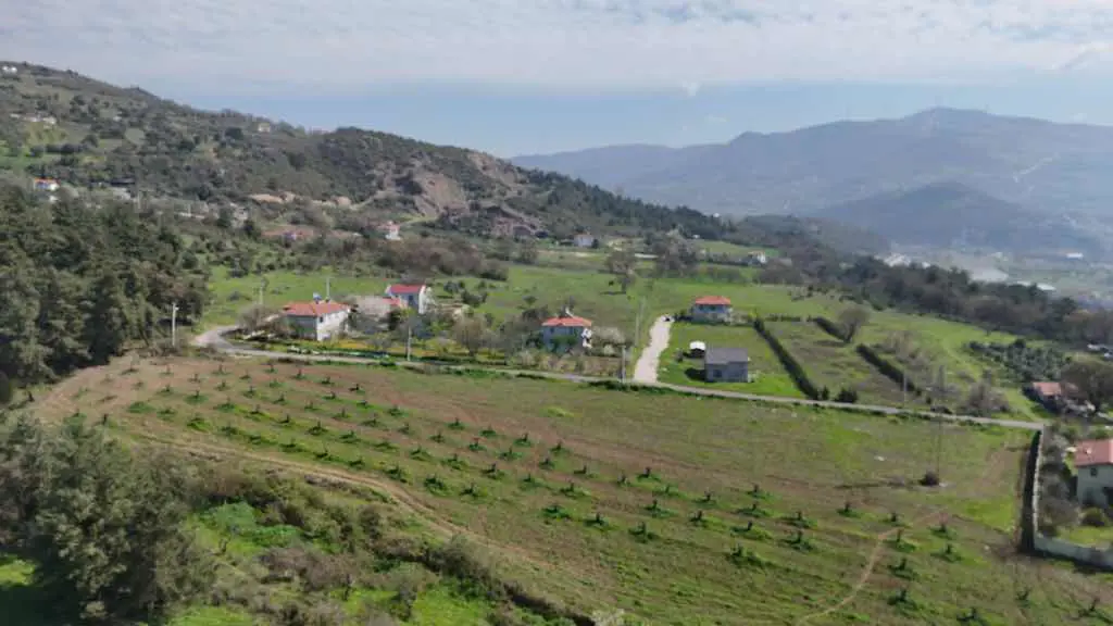 Property image 30