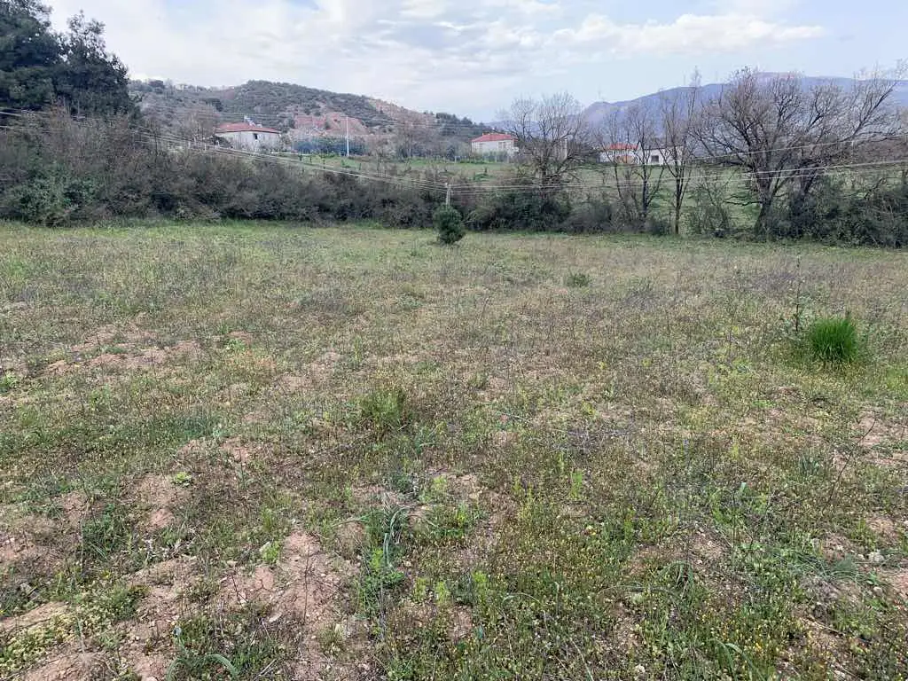 REMAX DESİGN GEYVE DÜZAKÇAŞEHİR MAHALLESİ İMARLI 2831 M2 ARSA