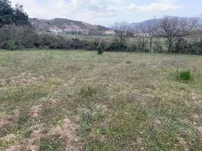 REMAX DESİGN GEYVE DÜZAKÇAŞEHİR MAHALLESİ İMARLI 2831 M2 ARSA
