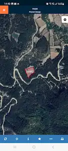 MUDURNU DOLAYÜZ KÖYÜNDE 7.824 M2 TEK TAPU ETRAFI ORMAN TARLA