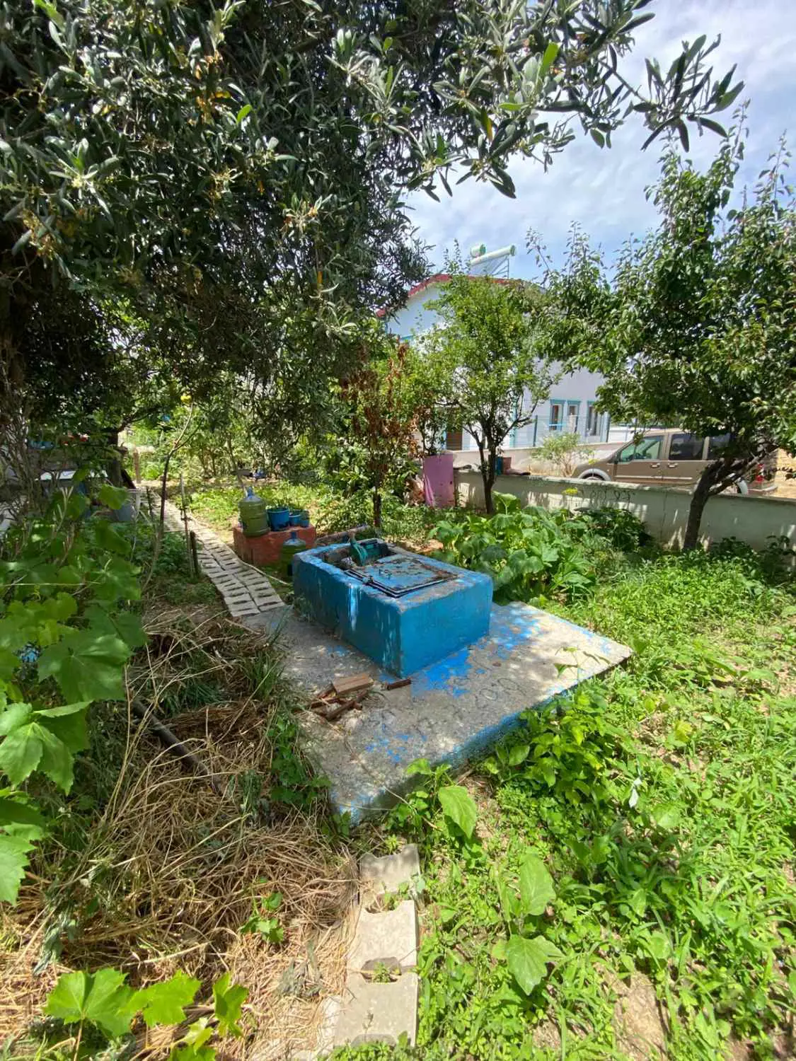 Property image 6