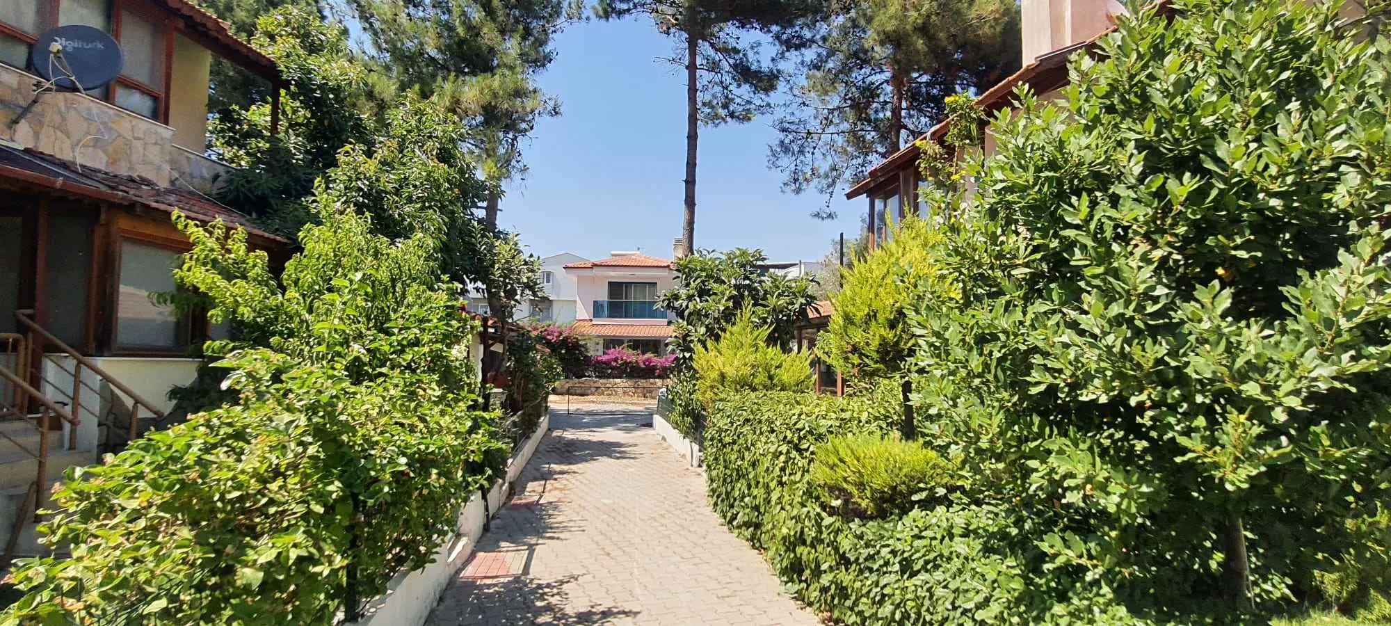 Property image 40