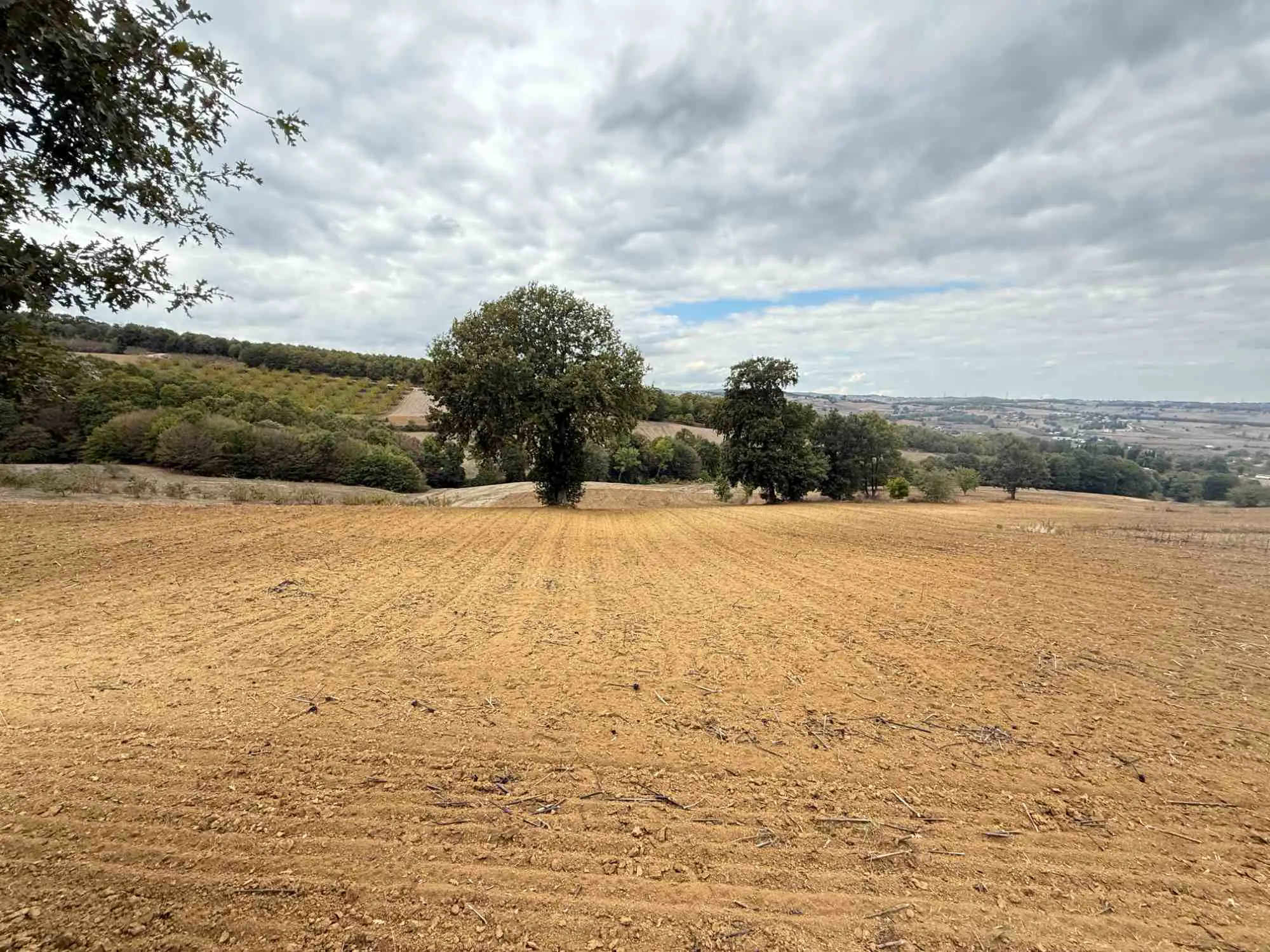 Property image 37