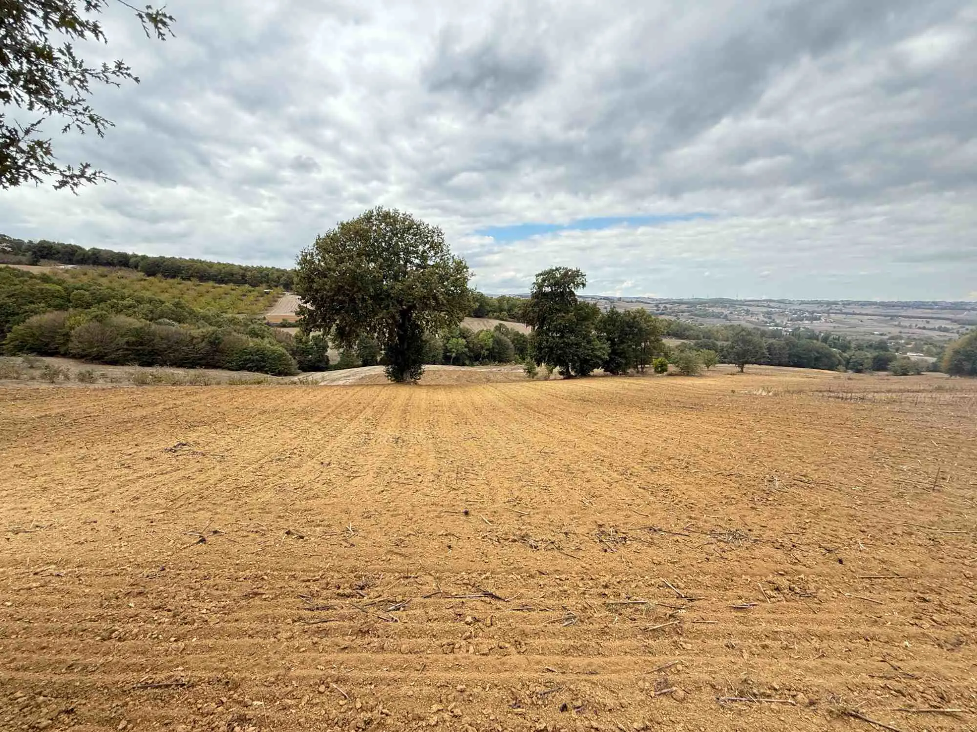 Property image 35