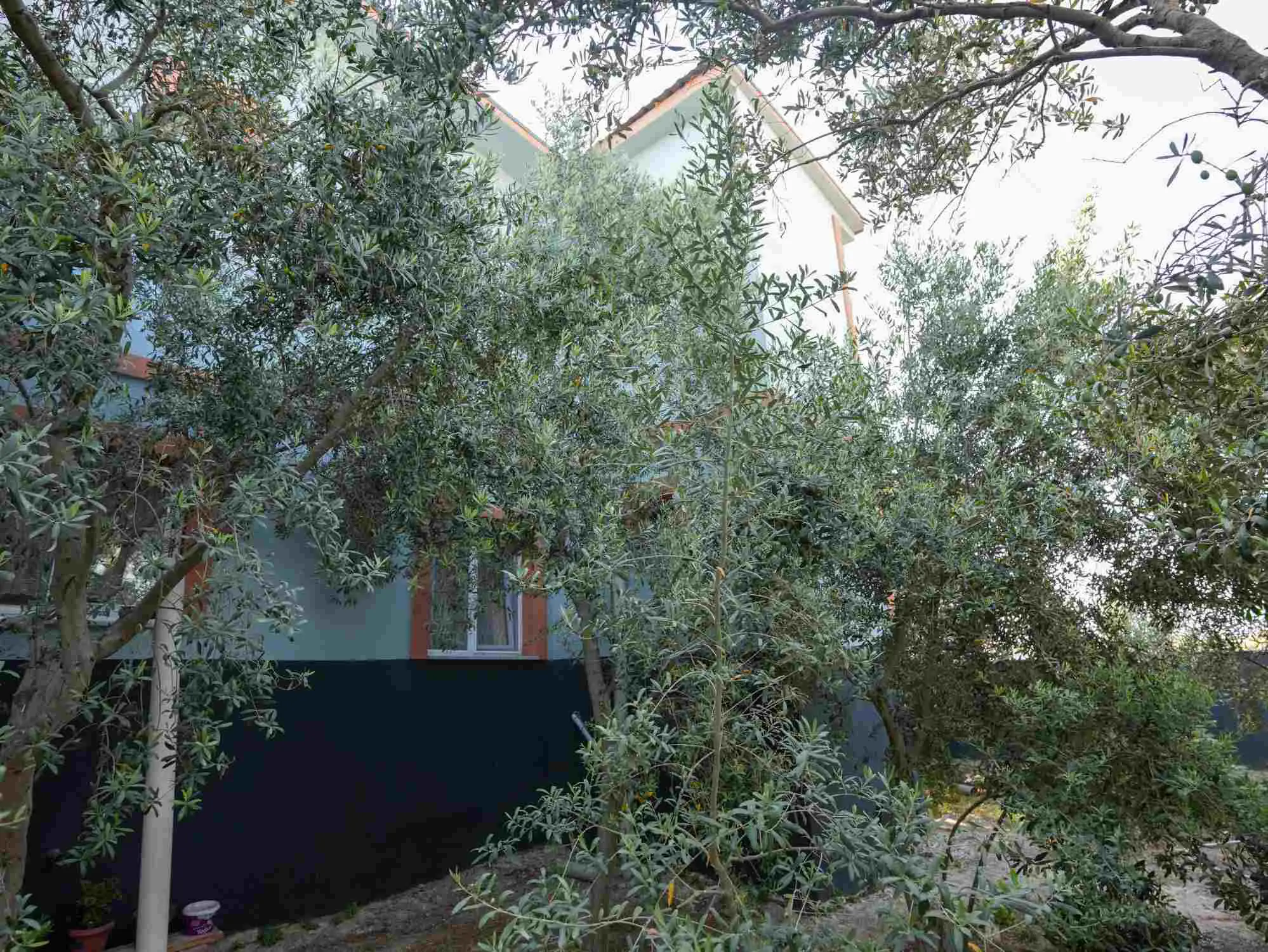 Property image 47