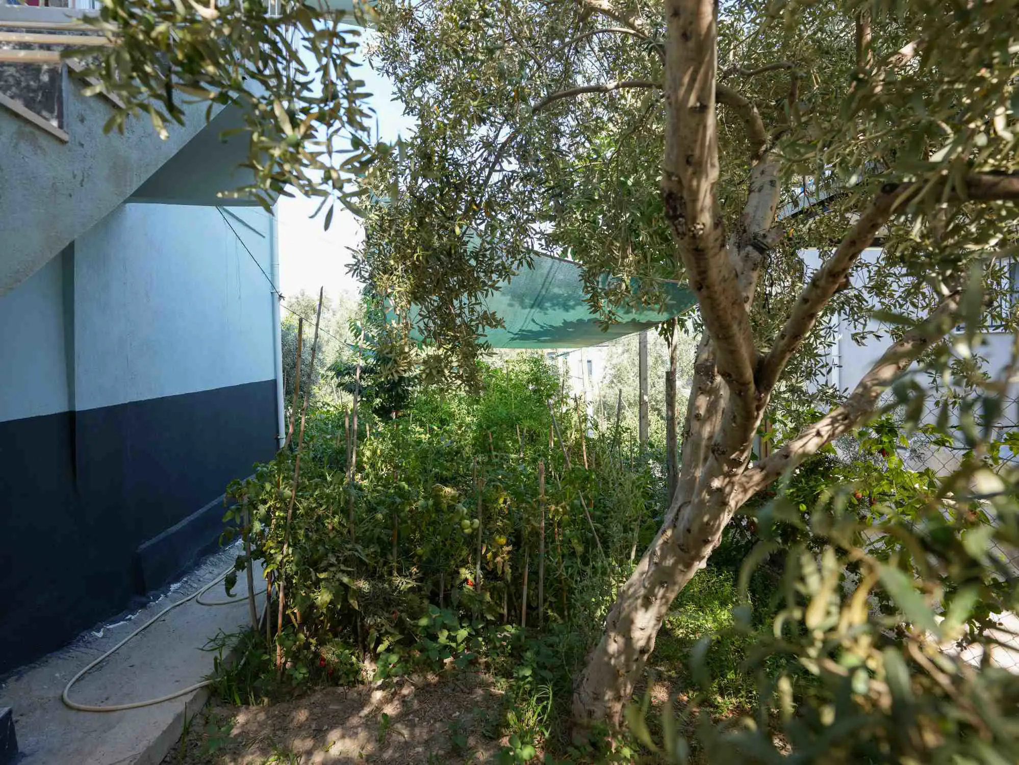 Property image 48