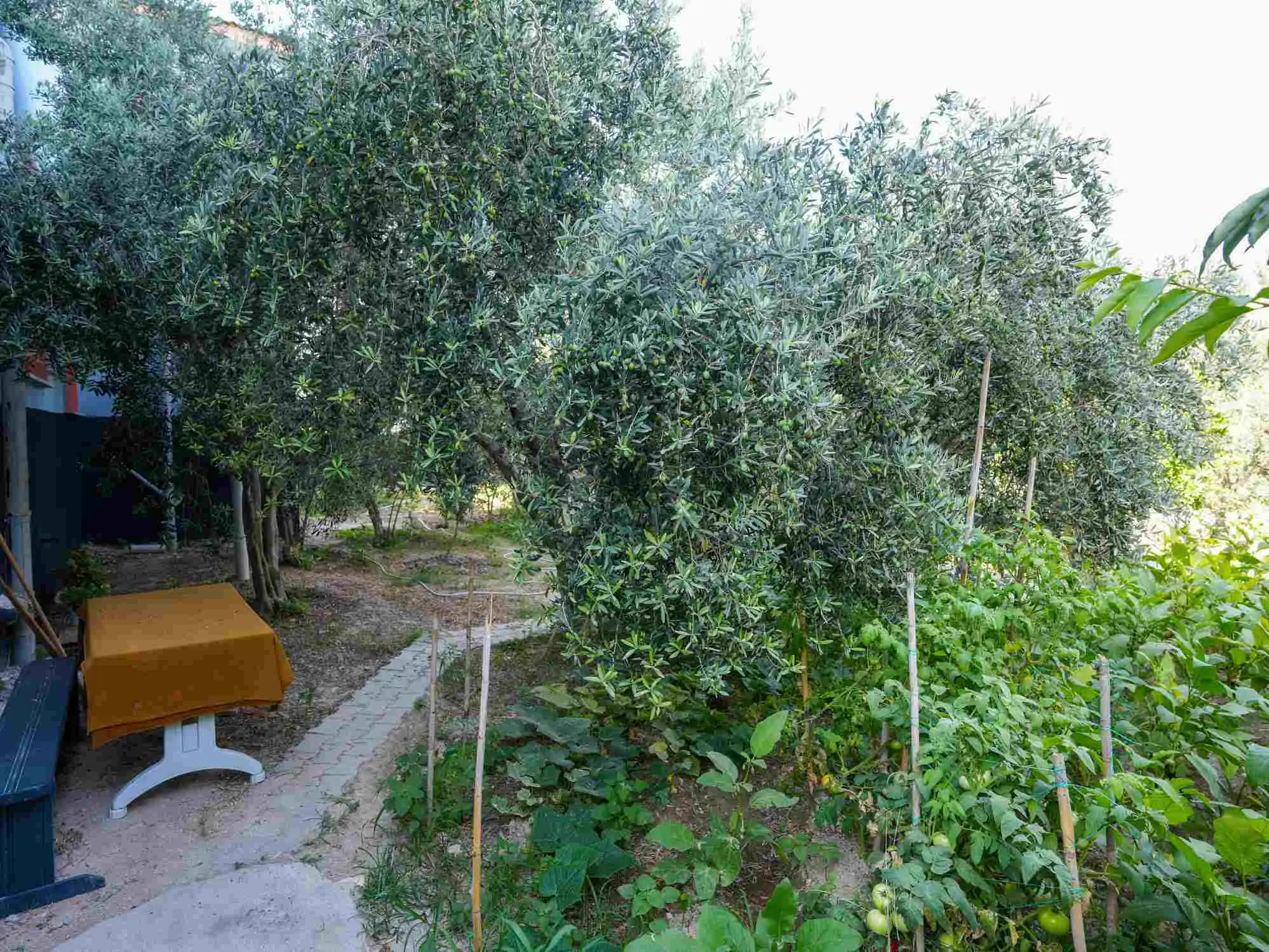 Property image 41