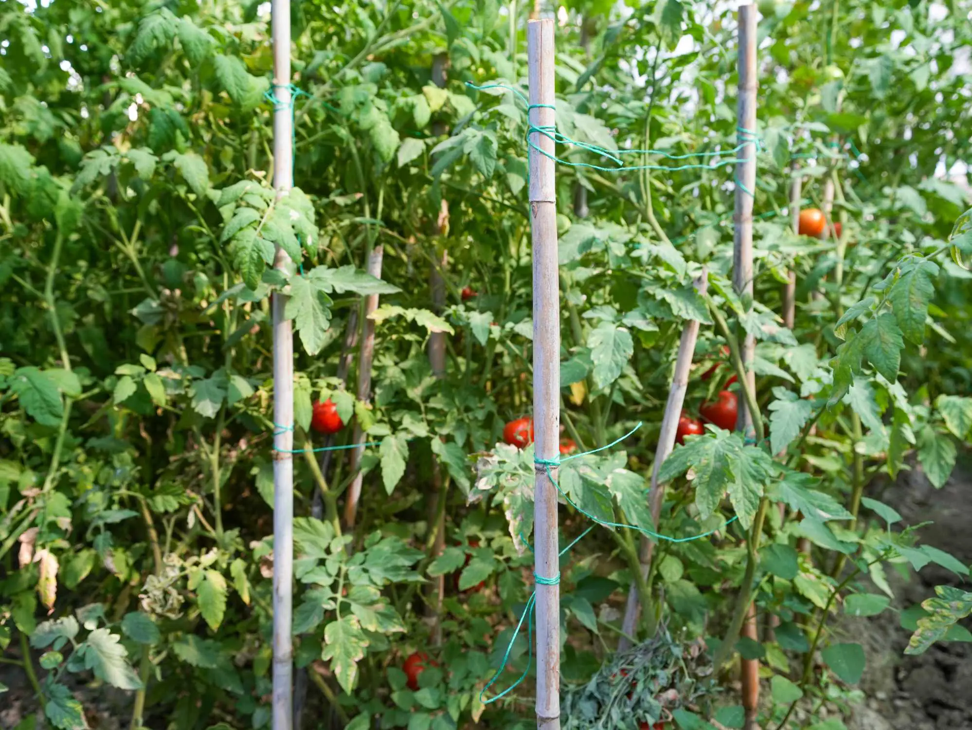 Property image 43