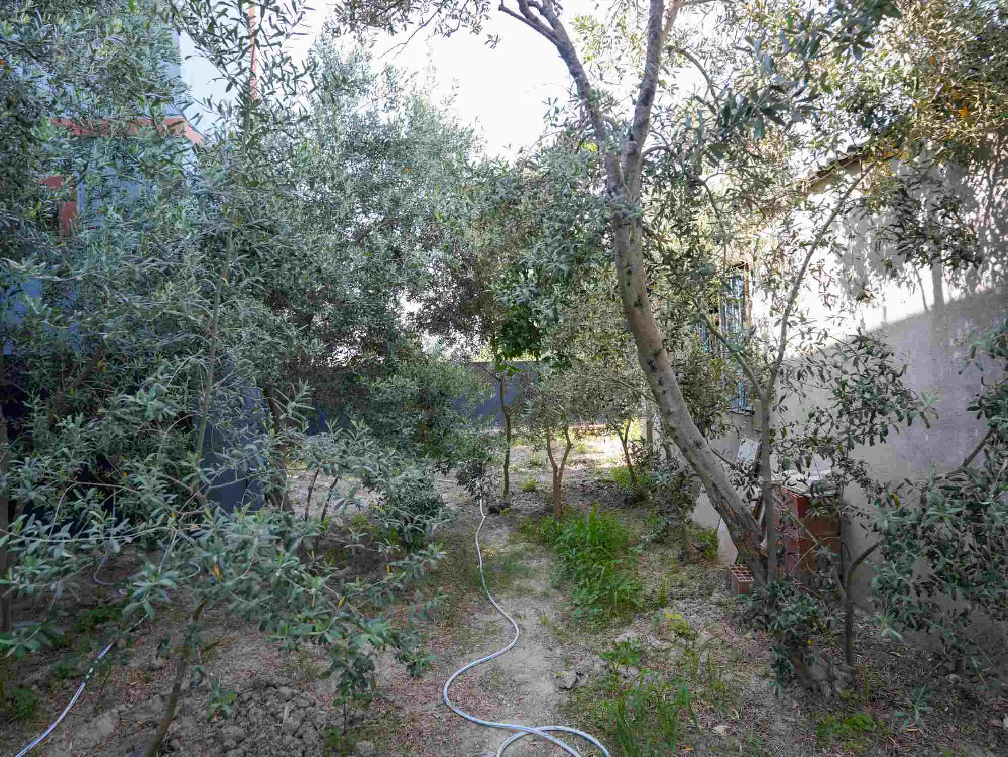Property image 46