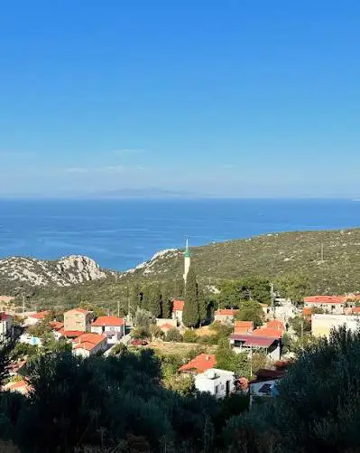 KARABURUN AMBARSEKİ’NDE 1.831 M² ZEYTİNLİK | DEĞERLENEN BÖLGEDE YATIRIM FIRSATI