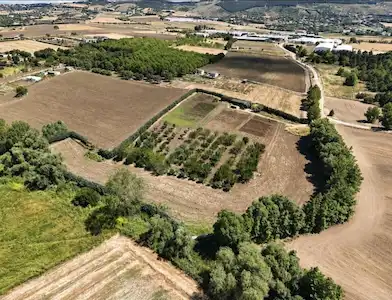 ÇATALCA ELBASANDA MEYVE AĞAÇLARI O YATIRIMLIK TARLA