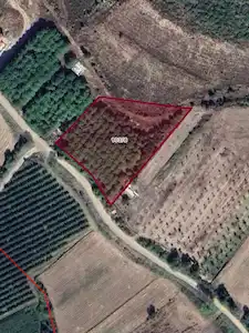 ÇAM FISTIĞI AĞAÇLI YOLU OLAN DÜZ SATILIK 4771 M2