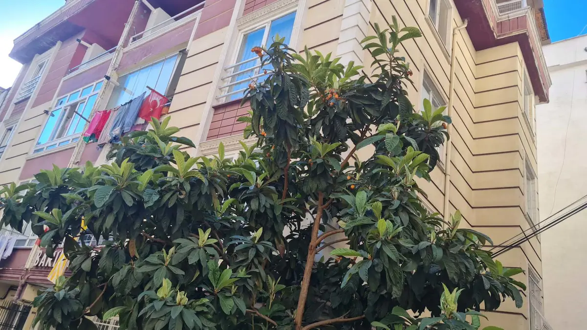 İSTANBUL BAĞCILAR GÜNEŞLİ'DE 3+1 SATILIK DUBLEKS DAİRE