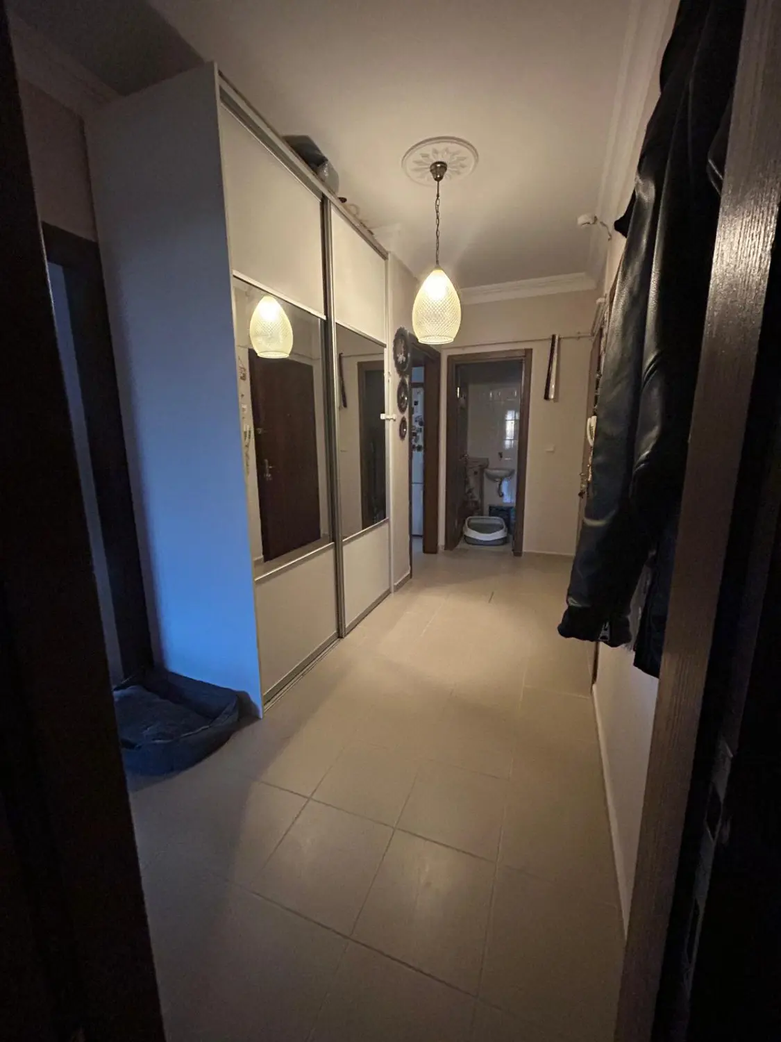Property image 39