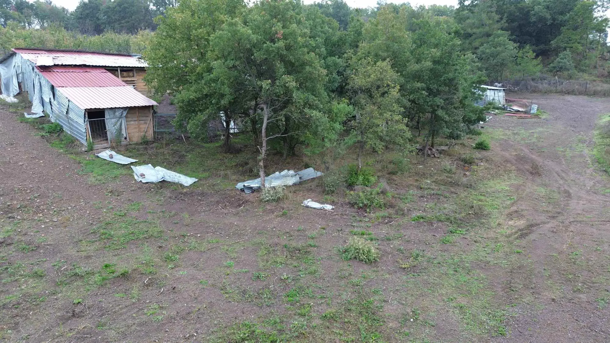 Property image 24