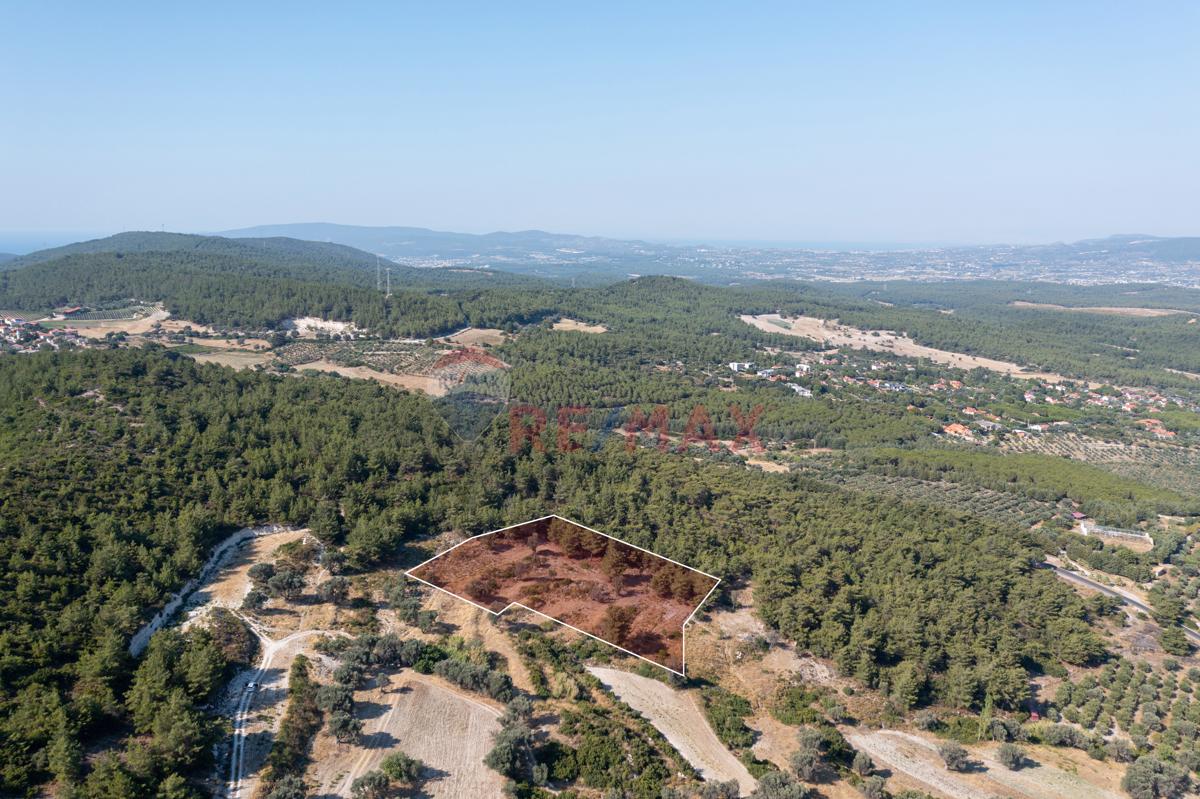 FIRAT UÇAR 'DAN URLA YAĞCILARDA MERKEZE ÇOK YAKIN 7221 M2 TARLA