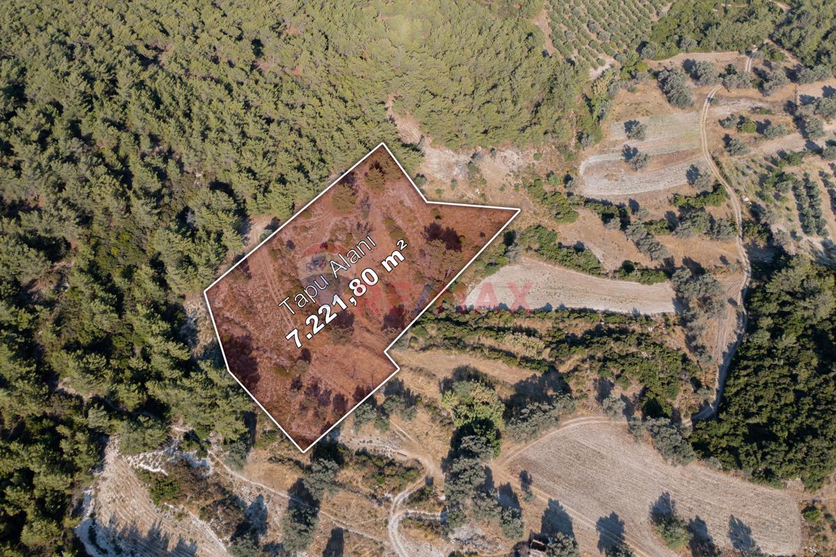 FIRAT UÇAR 'DAN URLA YAĞCILARDA MERKEZE ÇOK YAKIN 7221 M2 TARLA