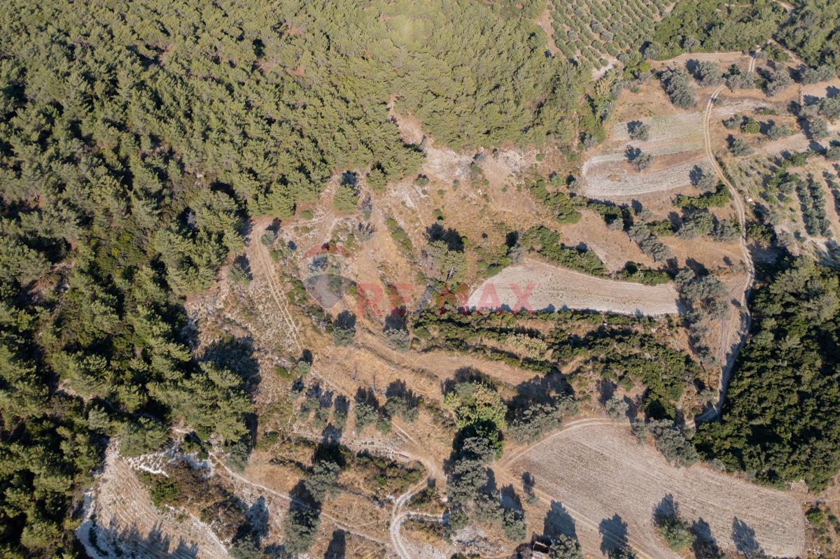 FIRAT UÇAR 'DAN URLA YAĞCILARDA MERKEZE ÇOK YAKIN 7221 M2 TARLA