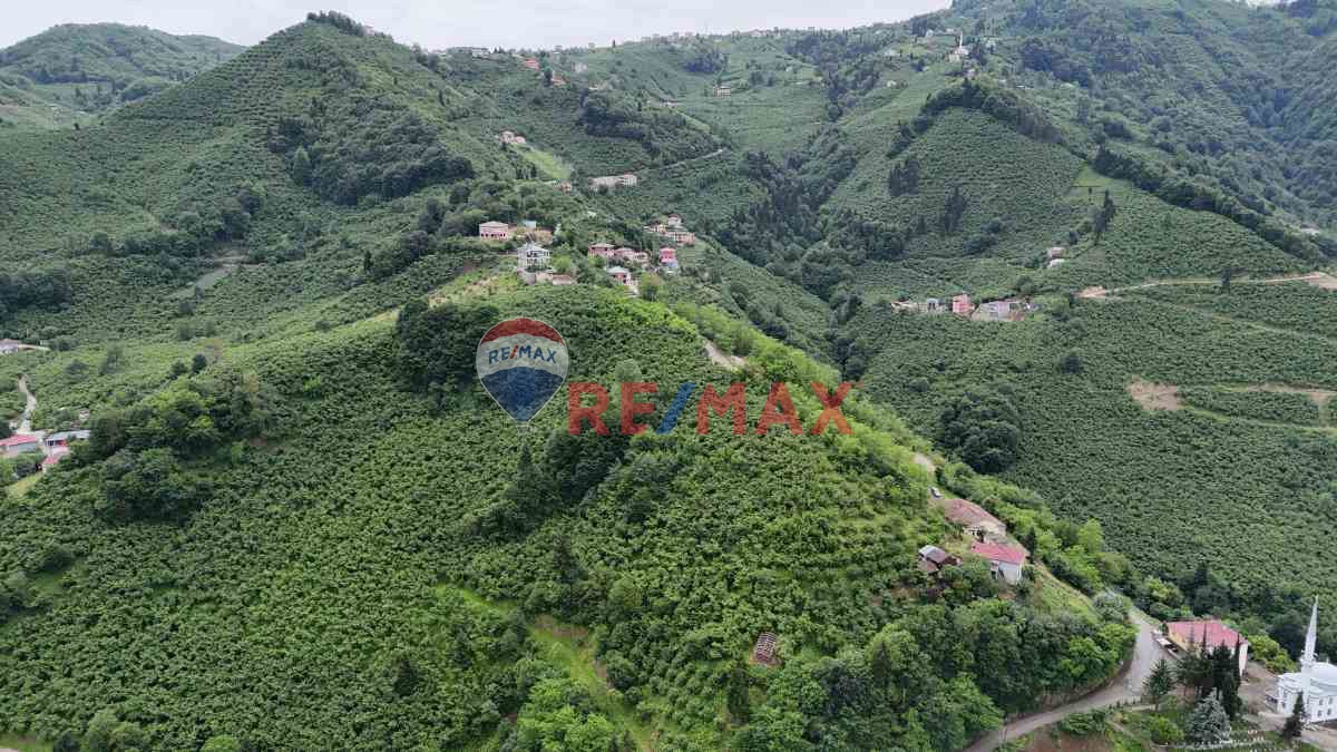 ÇAĞLAYANDA SATILIK 10 DÖNÜM ARAZİ