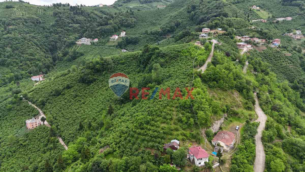 ÇAĞLAYANDA SATILIK 10 DÖNÜM ARAZİ