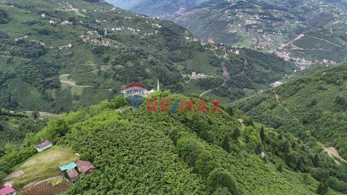 ÇAĞLAYANDA SATILIK 10 DÖNÜM ARAZİ