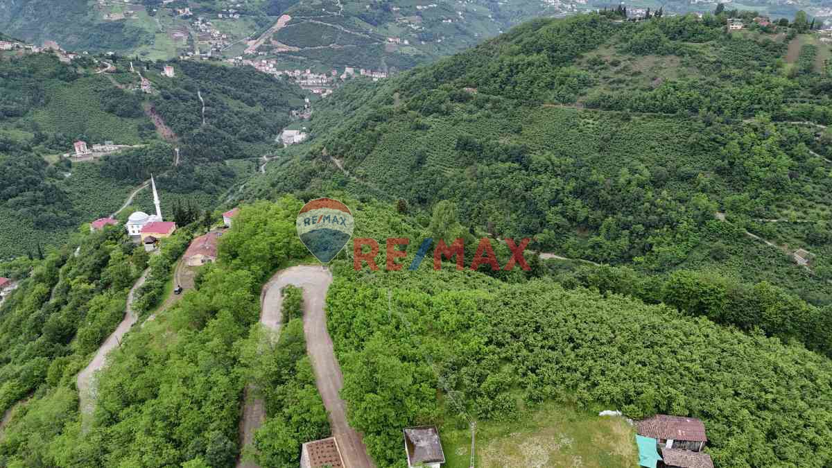 ÇAĞLAYANDA SATILIK 10 DÖNÜM ARAZİ