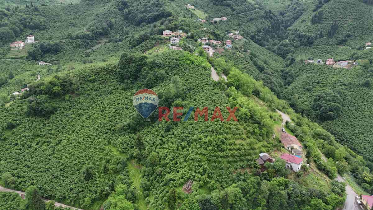 ÇAĞLAYANDA SATILIK 10 DÖNÜM ARAZİ