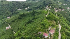 ÇAĞLAYANDA SATILIK 10 DÖNÜM ARAZİ